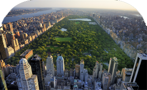 The Second Global Summit